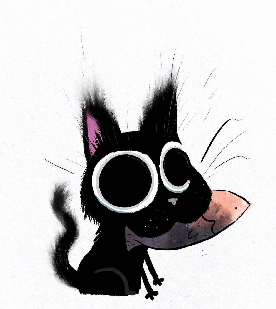 可爱小煤球  dan tavis