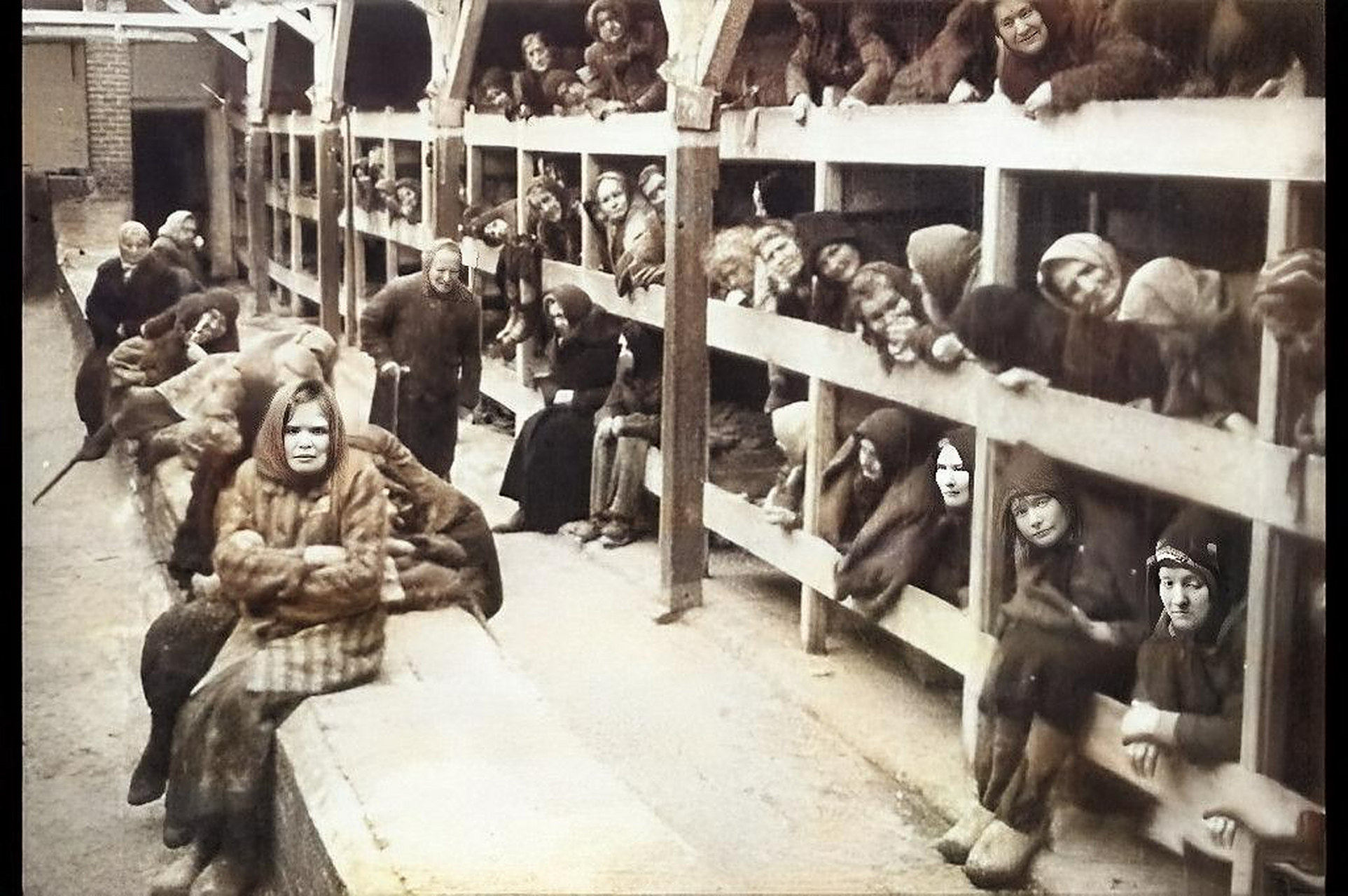 这些是女子在纳粹集中营的照片.他们被迫像老鼠一样挤在一起.