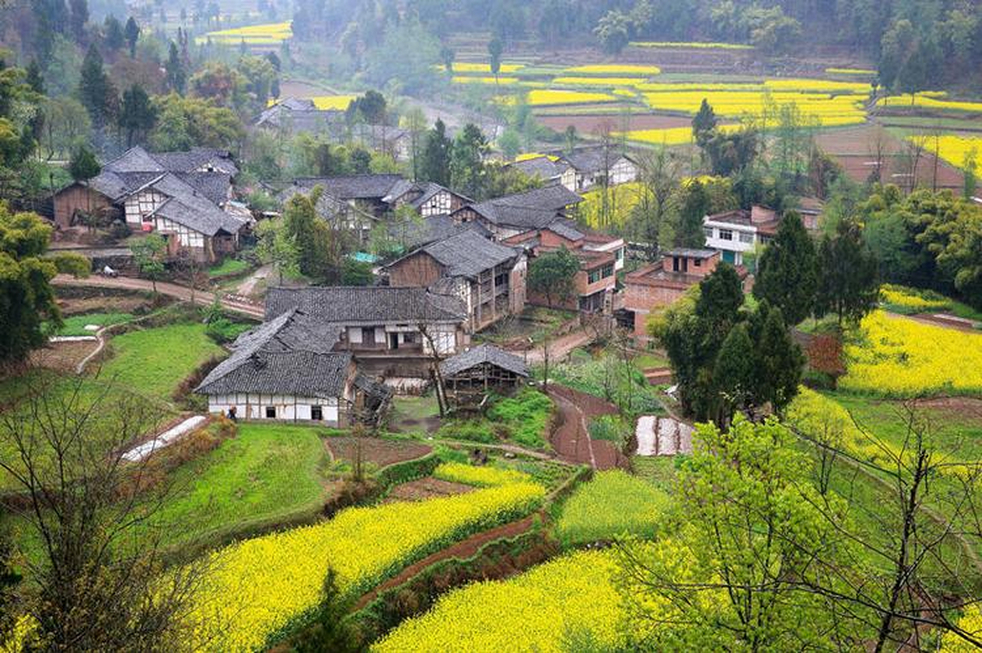 巴中梨园坝村:川东北的香格里拉  想要寻找隐藏在四川东北部大山深处