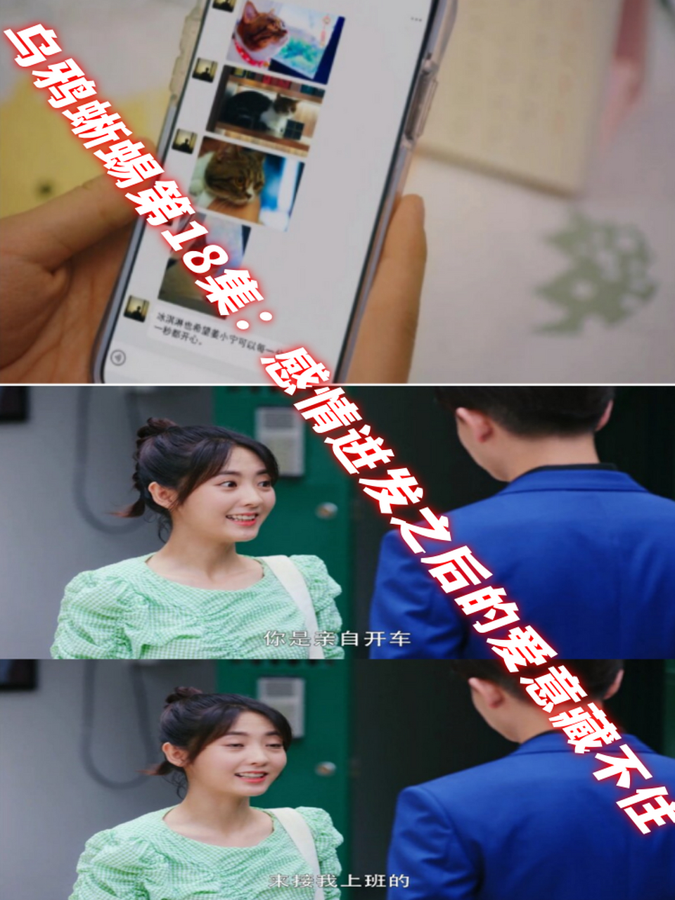 乌鸦蜥蜴第18集:感情迸发之后的爱意藏不住  在第18集中,顾川将姜小宁