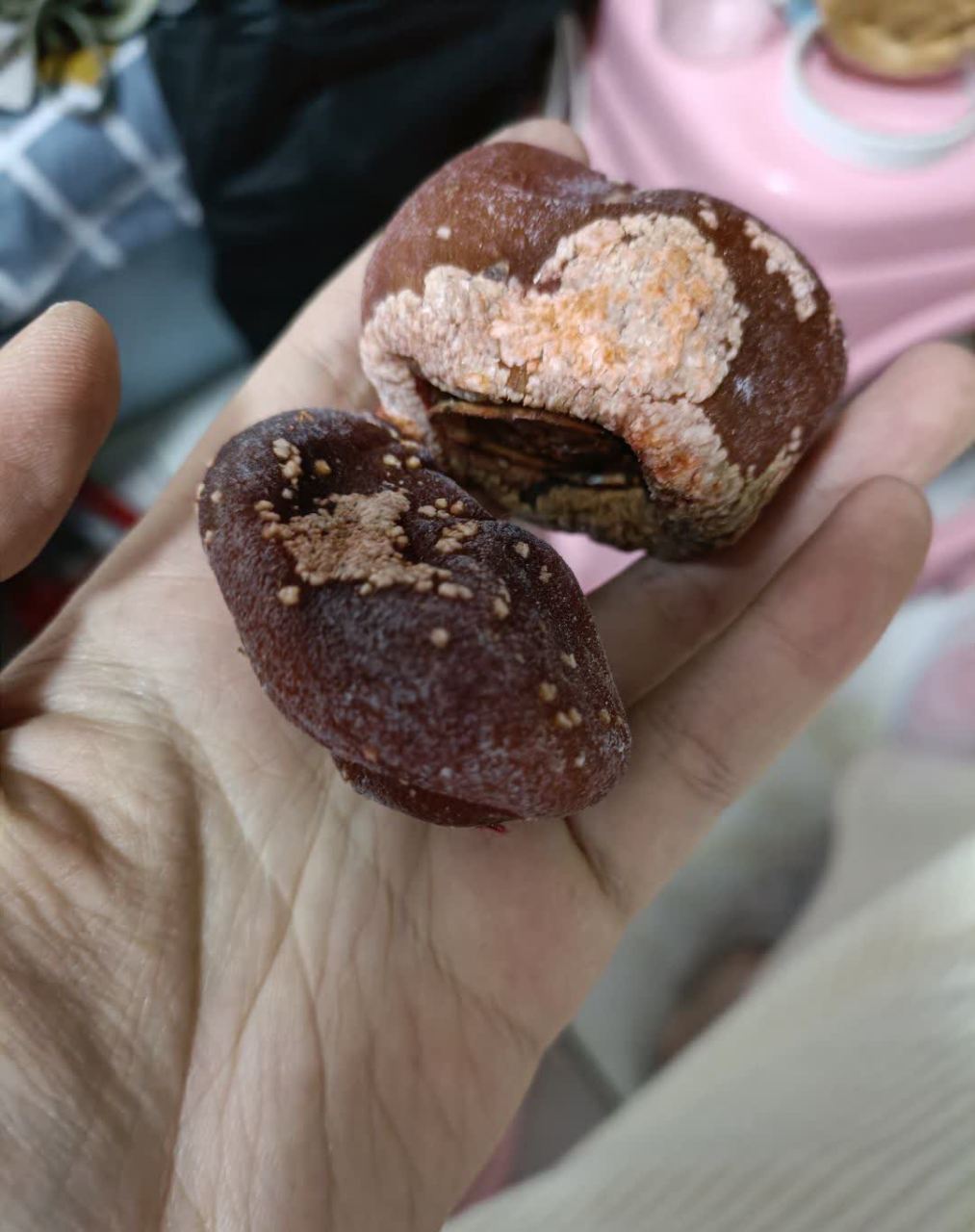 我说柿饼坏了,商家却坚称没有坏. 我们看看有没有坏掉?[汗]