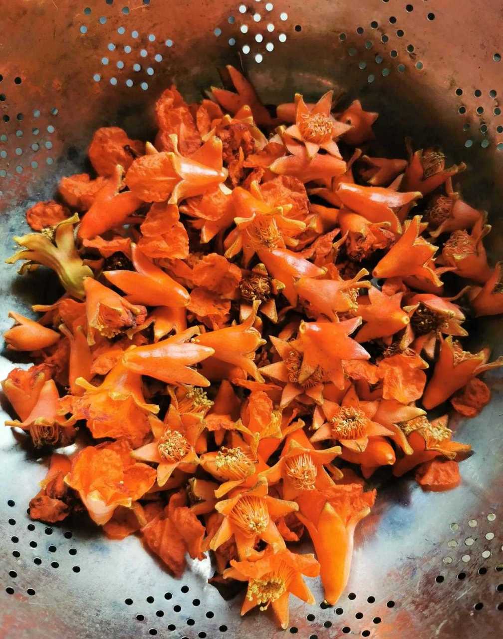 [哈欠] 石榴花是雌雄同株的,图7就可以看出,锥形的是雄花,是不会结果