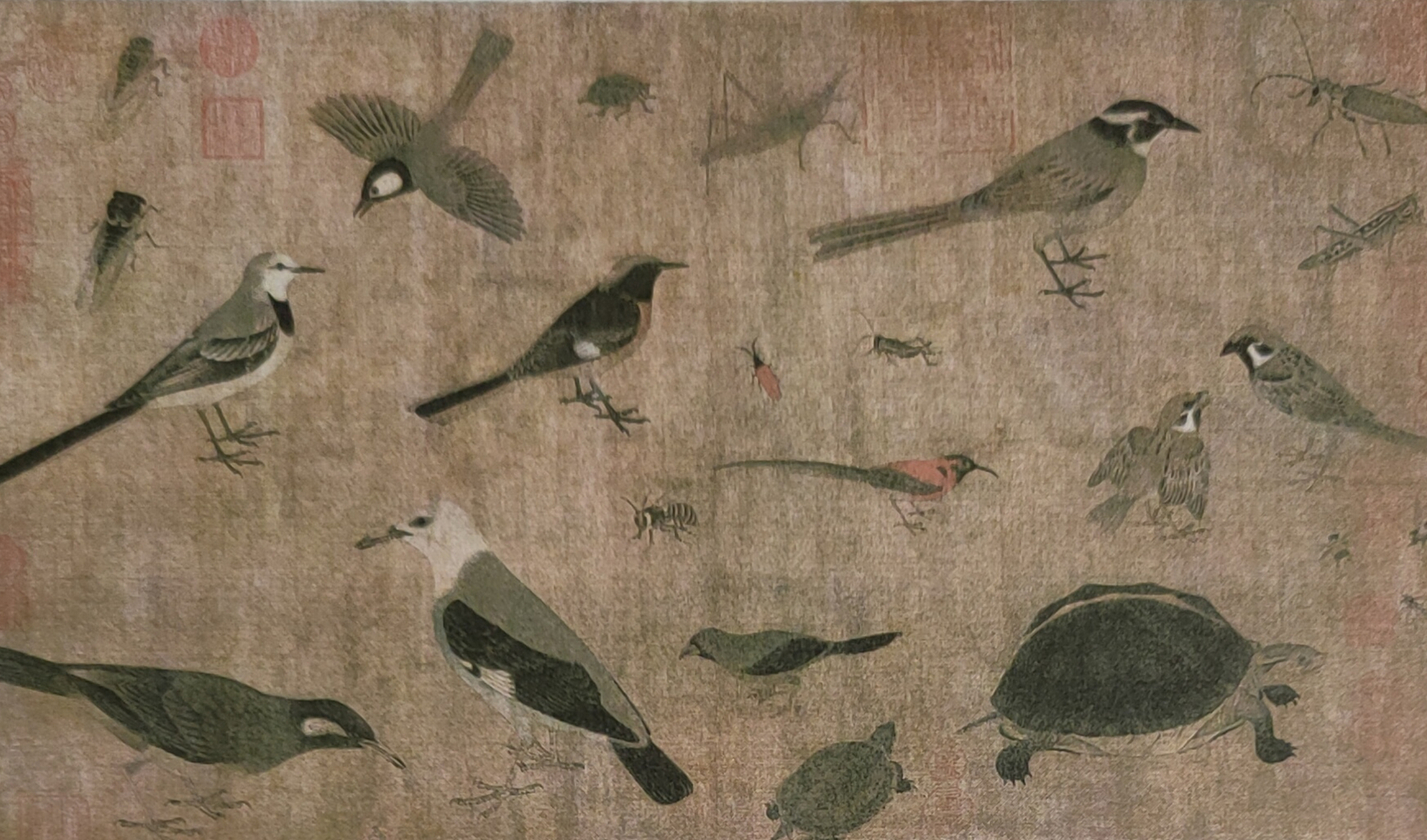 中国画(名画):写生珍禽图.