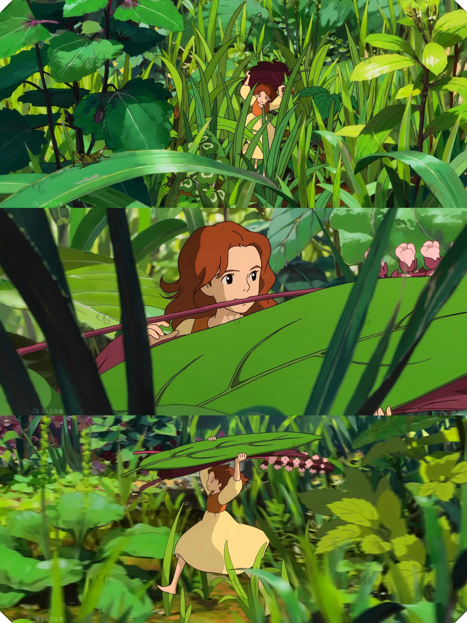 吉卜力超强治愈动漫6015温暖人心的童话  《借东西的小人阿莉埃蒂