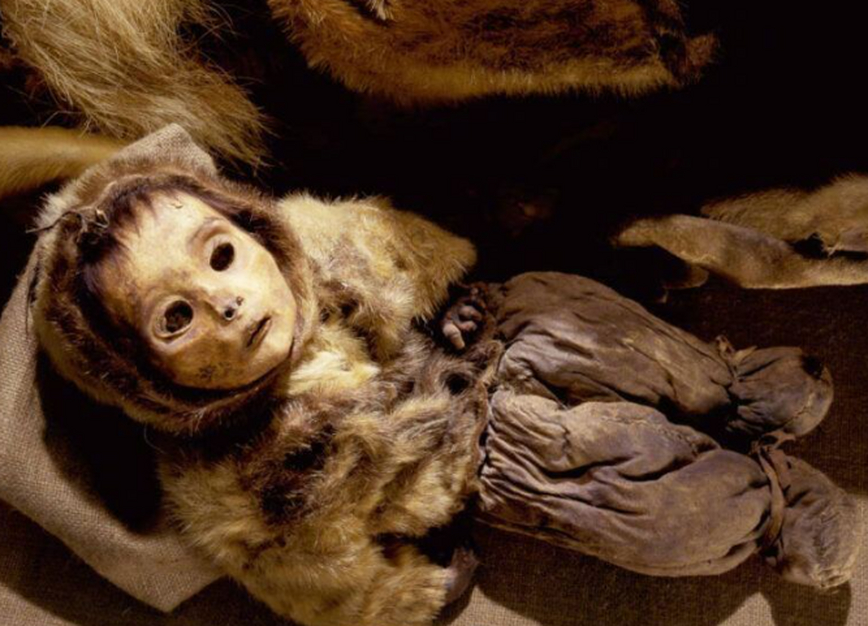 世界上保存最完好的木乃伊之一,500多年前的因纽特小孩!