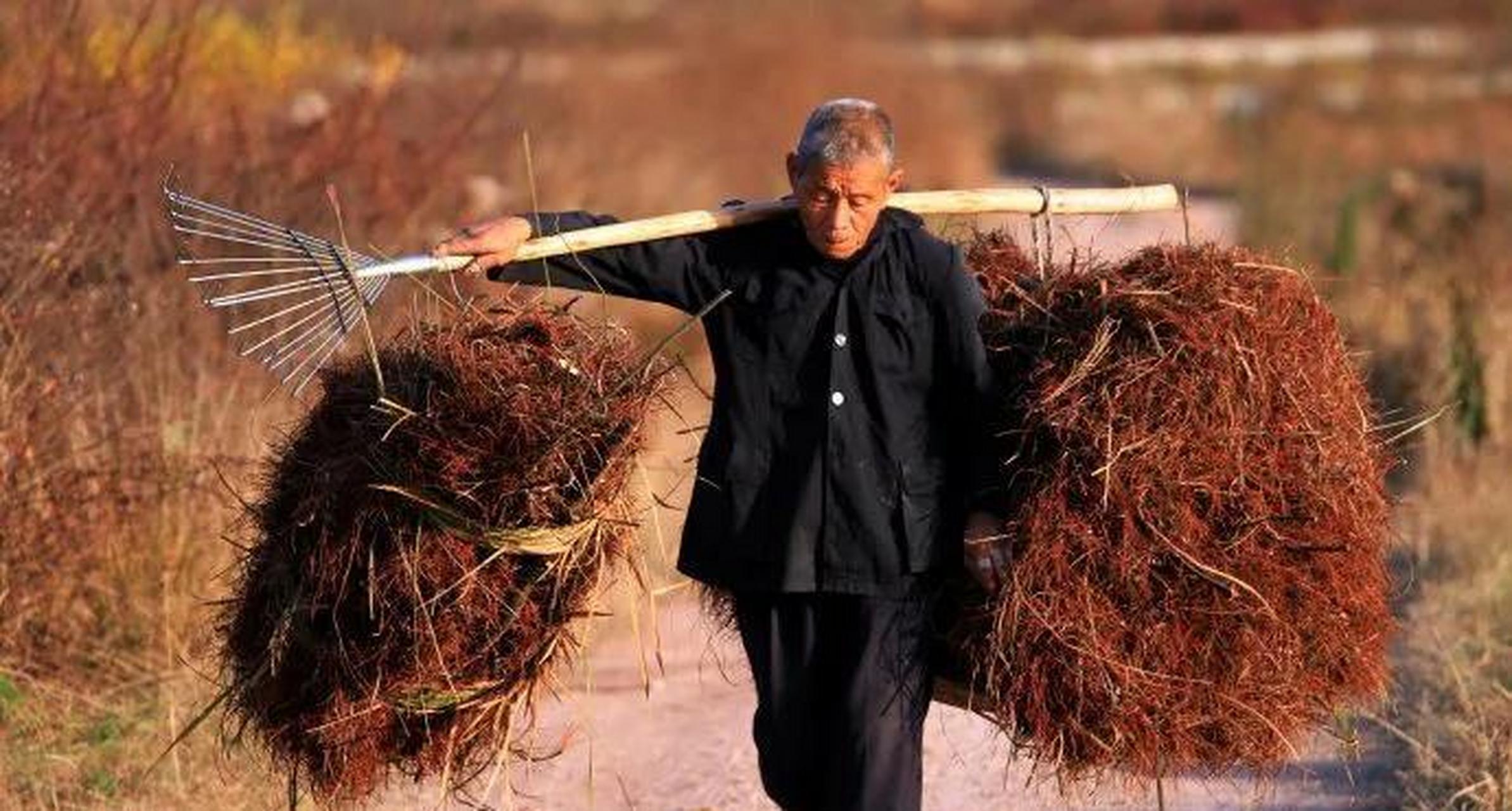 一位老农民说他从建国到现在,经历了好几个阶段,每个阶段称呼都有很大