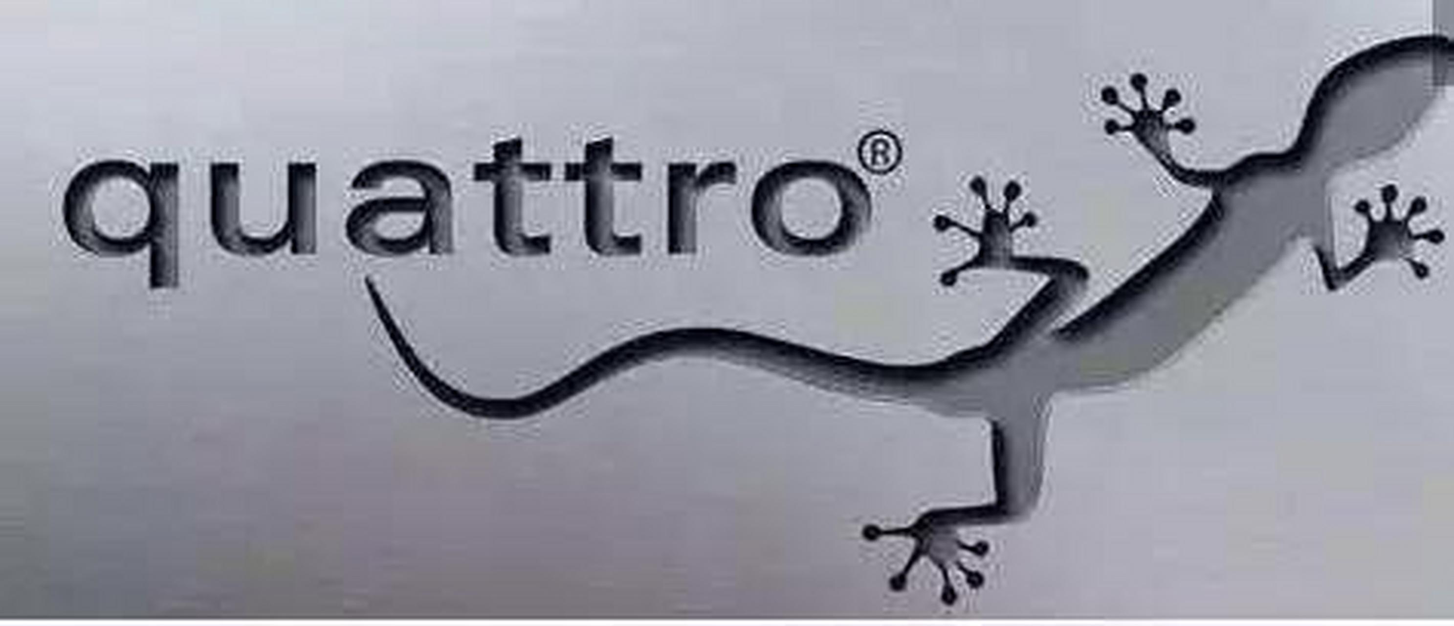 它代表的是奥迪quattro全时四驱系统,能够给四轮犹如壁虎一般的抓地力