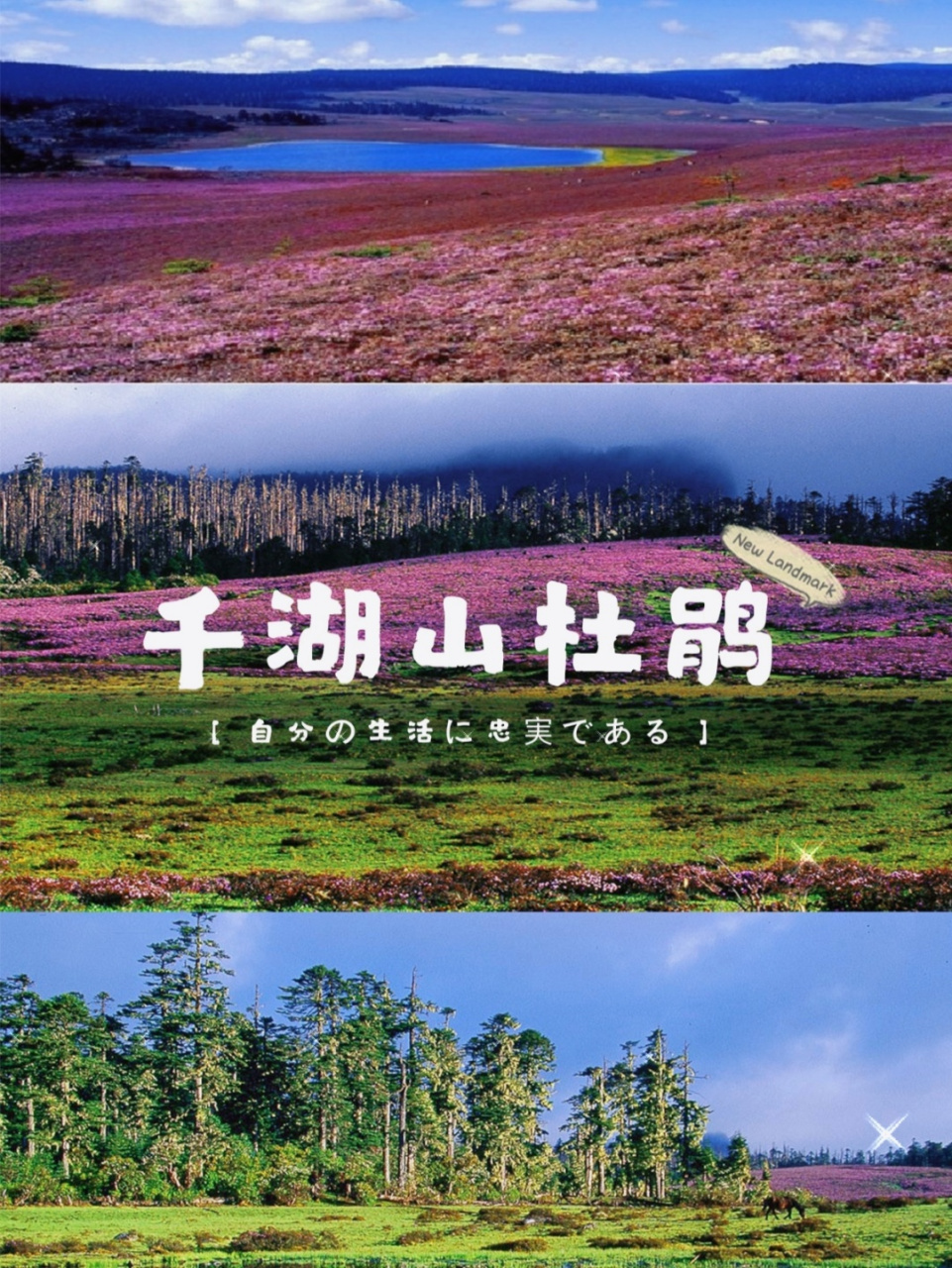 千湖山位于香格里拉县小中甸乡团结村境内,藏语称"拉姆东措",意为"