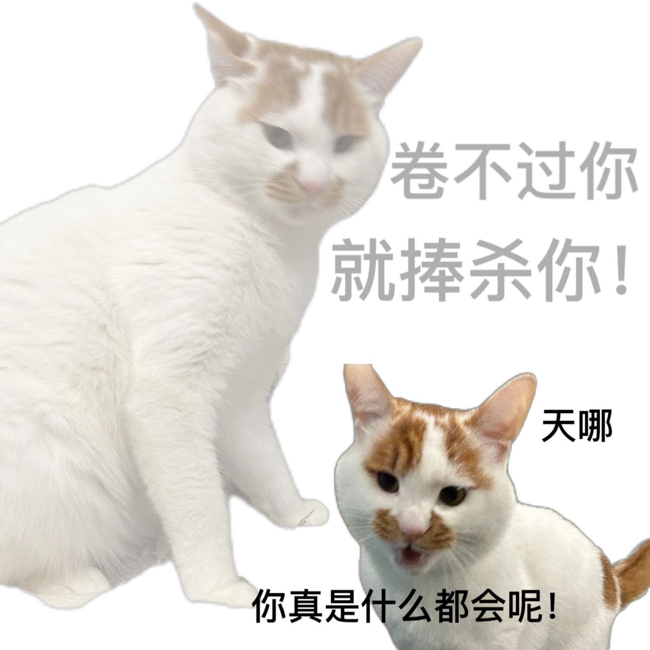 职场的虚情假意表情包