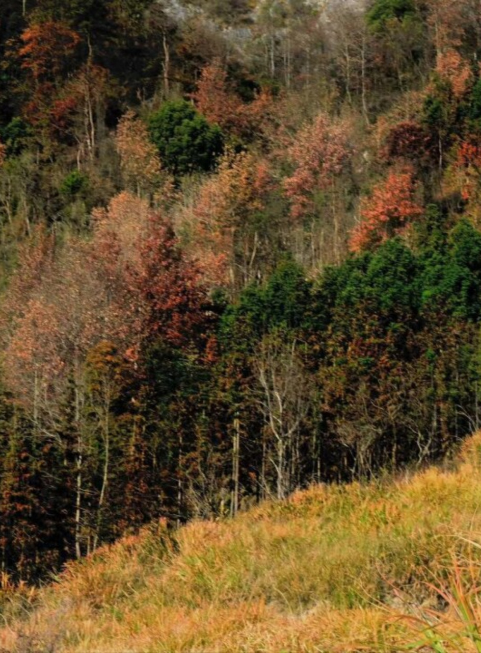 陈平名山位于宾阳县,距离陈平集镇5公里,距宾阳县城约22公里,距宁宁