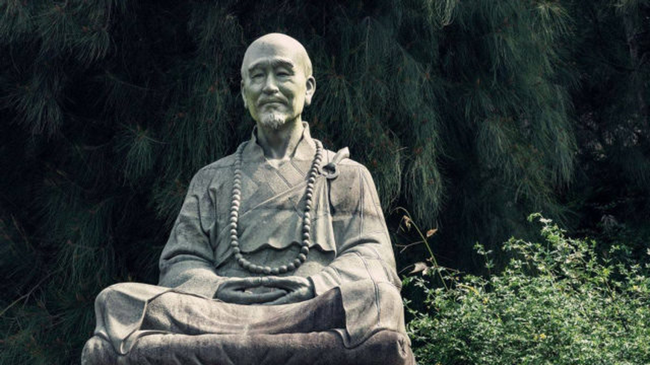 心软和不好意思只会消耗自己,薄情和健忘才是生存下去的利器.