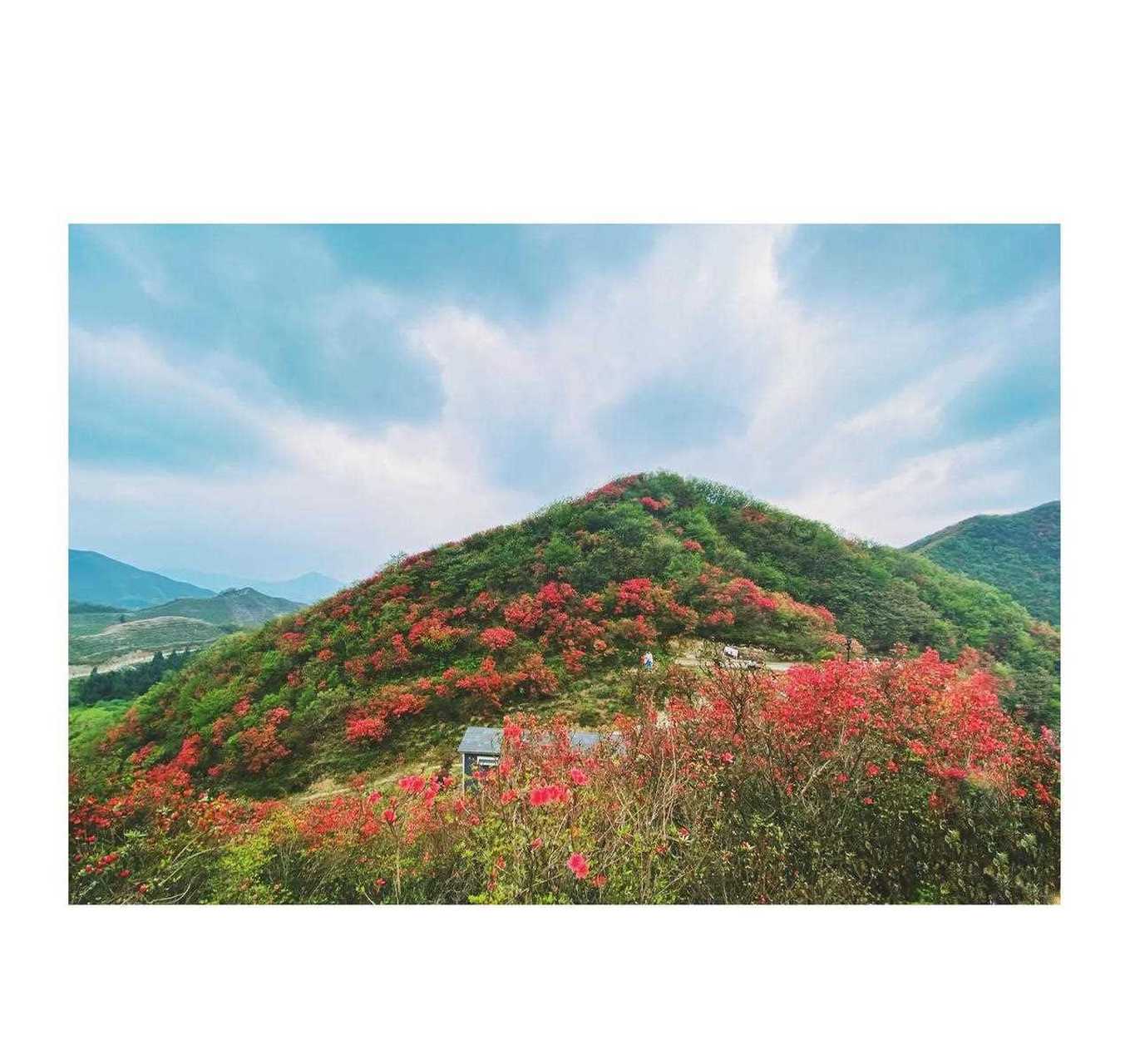 人间天,湖南常宁天堂山看杜鹃.[咒骂] 山里dou是好风光[?