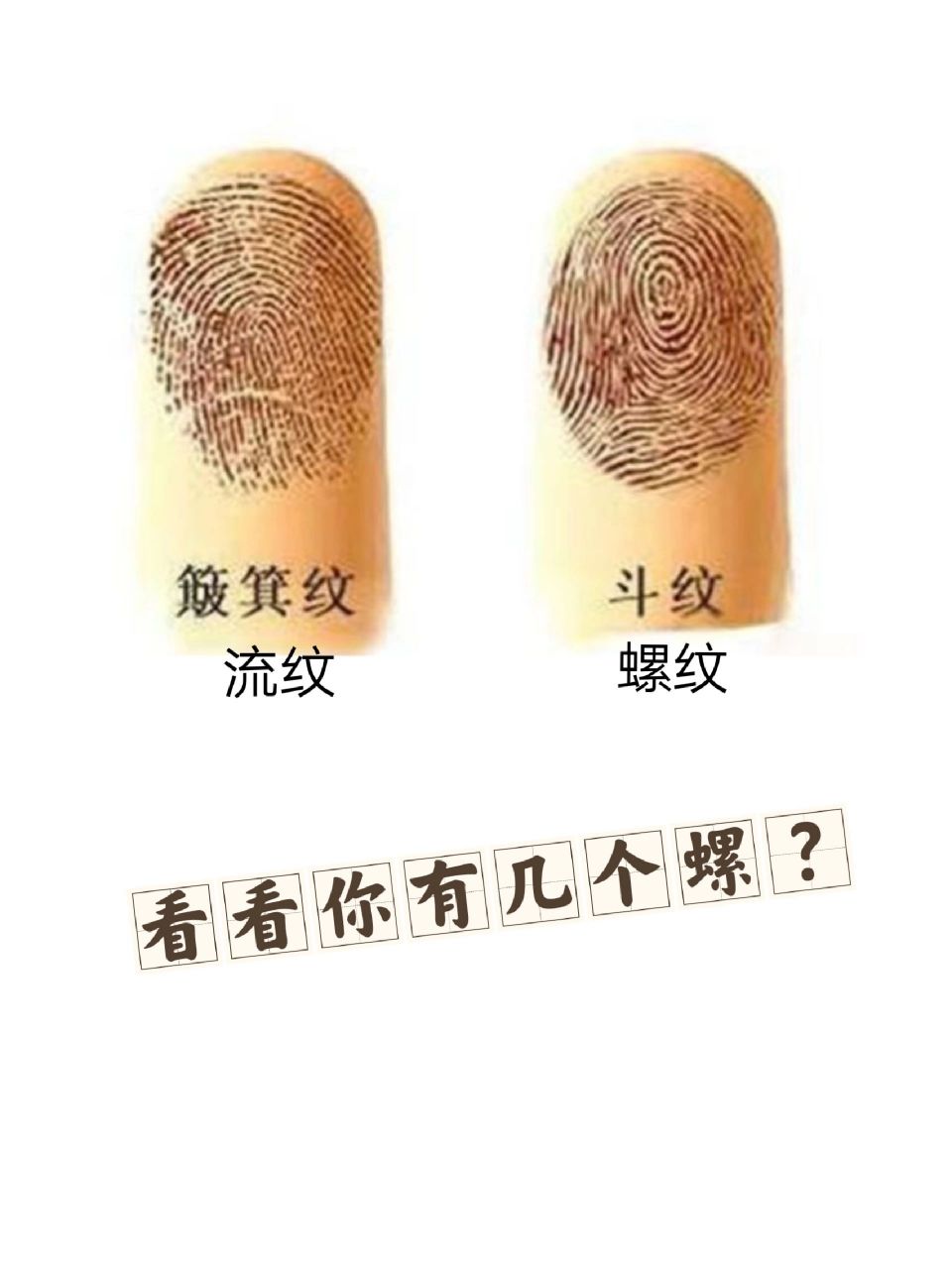 听说10个螺和1和10个簸箕是天生一对