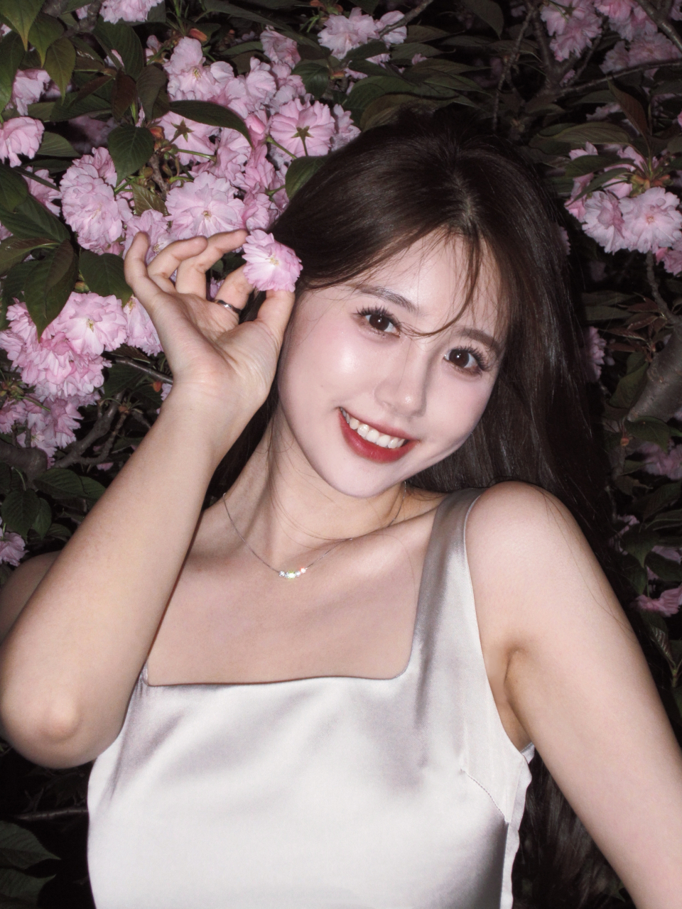 谁能拒绝夜樱啊  一栗莎子