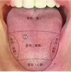 舌根在哪个位置图片