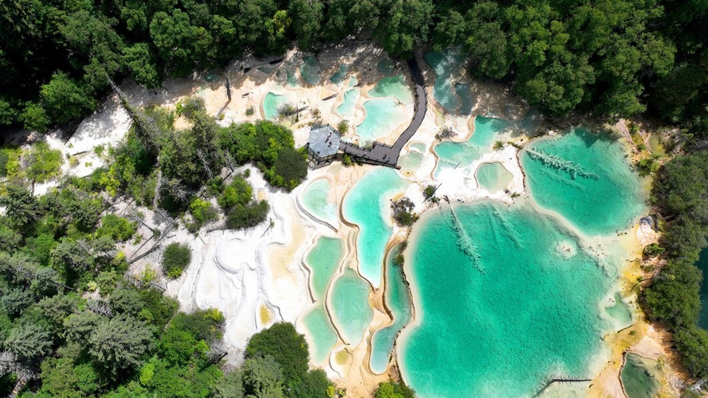 四川九寨沟神仙池景区风景如画,吸引了众多的游客前来观光游玩.