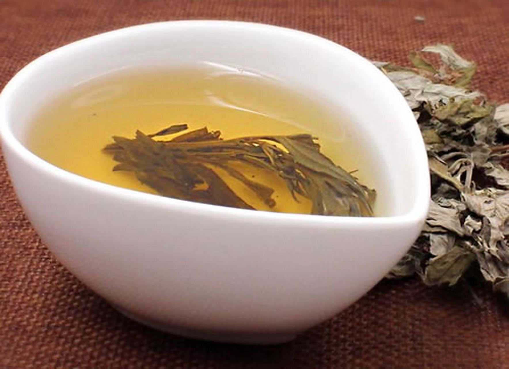 艾叶煮水喝,提高免疫,击破hpv 大家好,我是专攻hpv的马珊医生,今天给