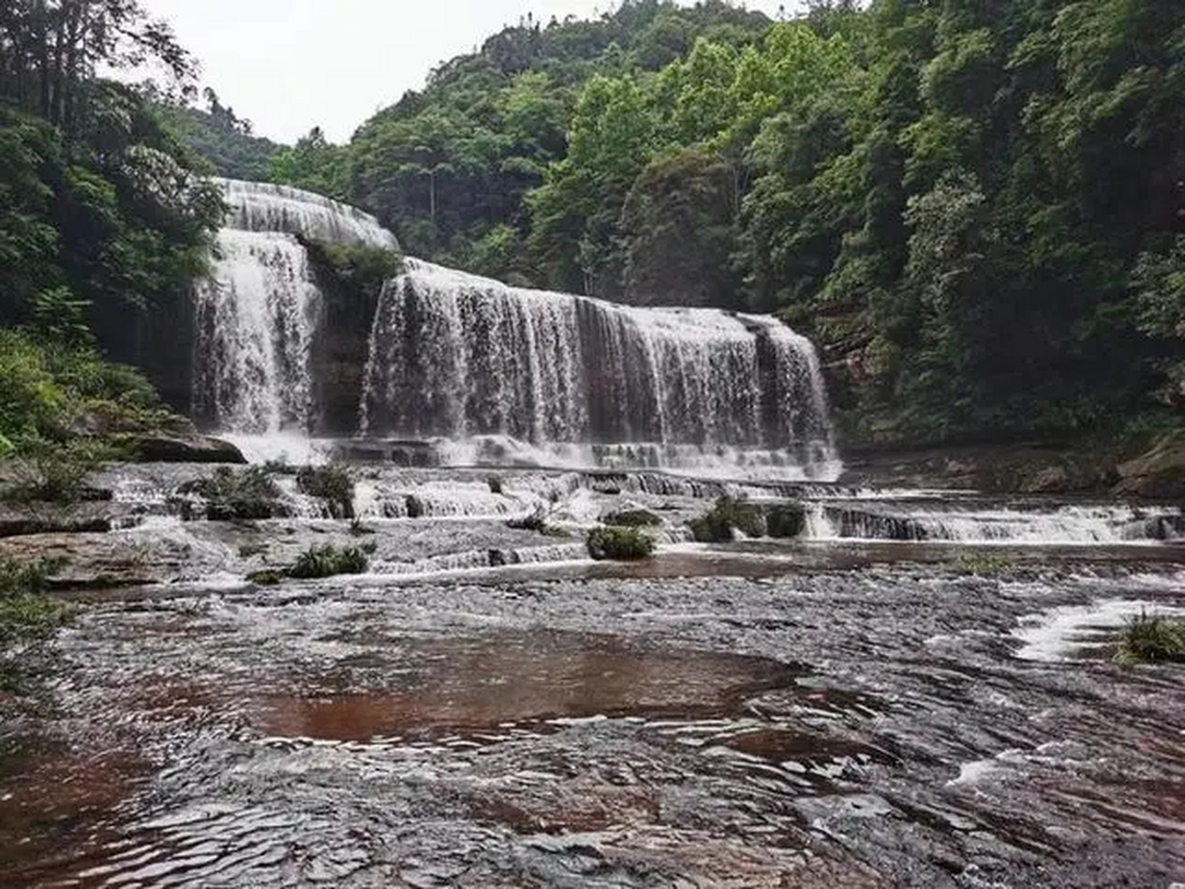 古蔺黄荆老林景区:这里属于是北纬28°线上最后的处女地,是典型的白垩