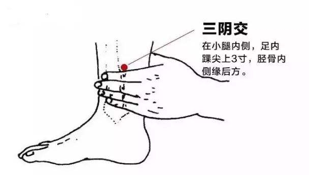 间准确位置图膝盖内侧什么经络图太冲穴头晕艾灸哪个部位图解赤白肉际