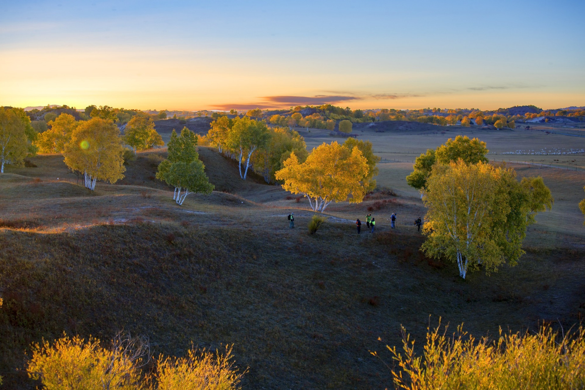 被誉为"坝上草原"的壮丽土地,它位于内蒙古扎鲁特旗北部的乌兰布统乡