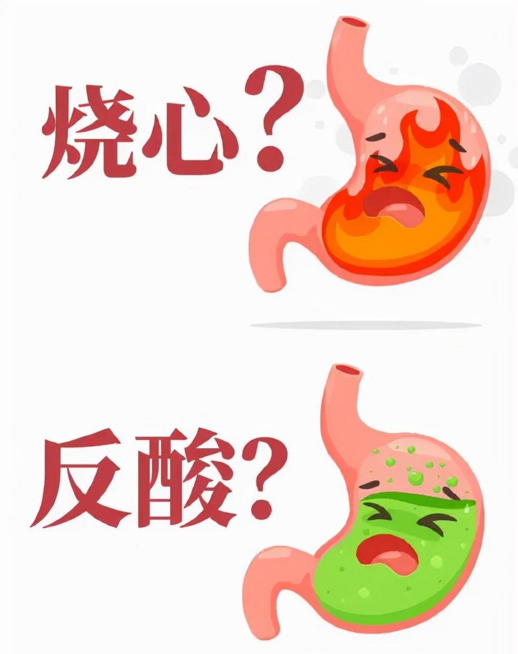 胃酸:就是反胃,吐酸水.