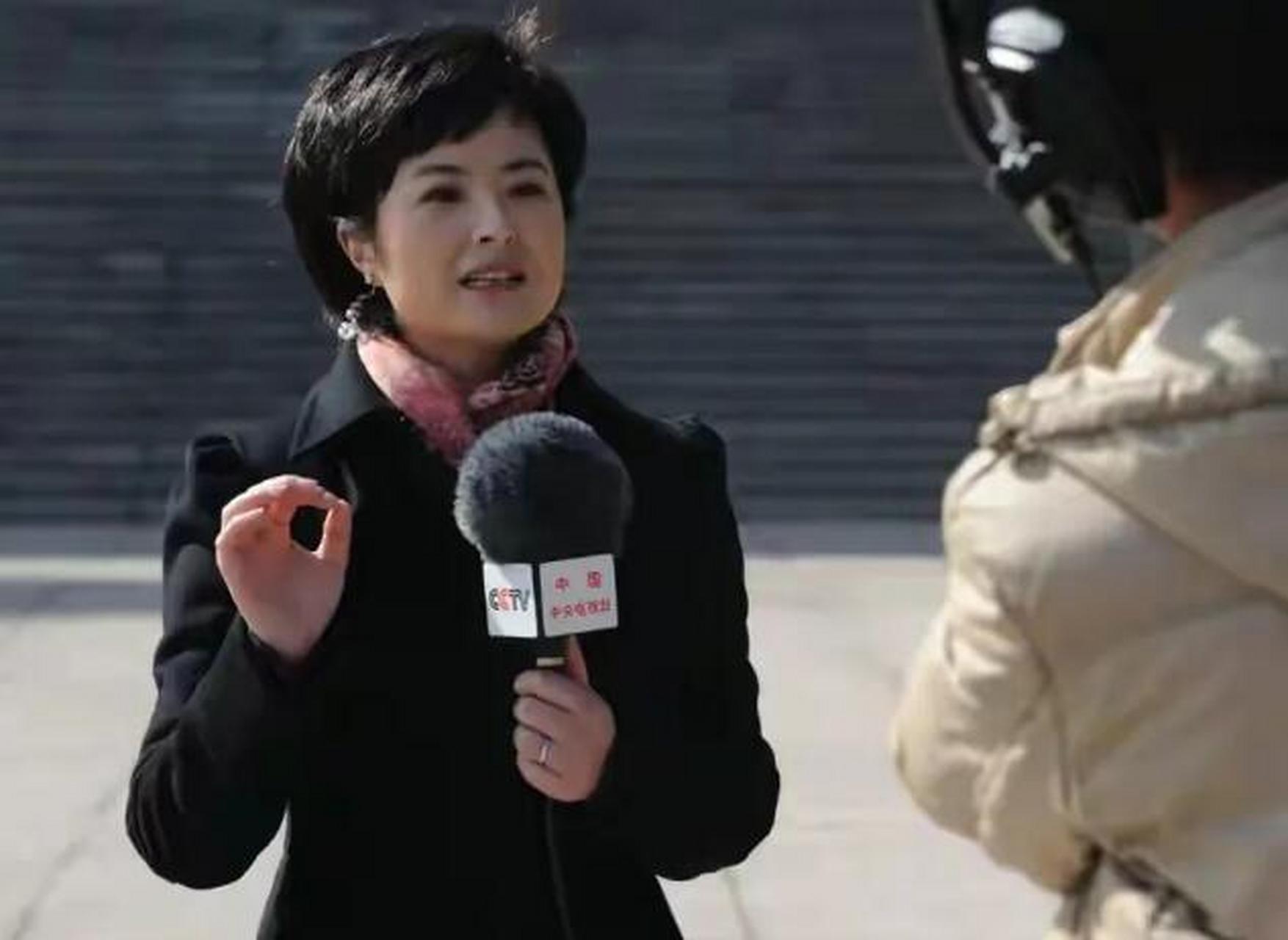 2015年,前央视《东方时空》主持人张泉灵从央视辞职.