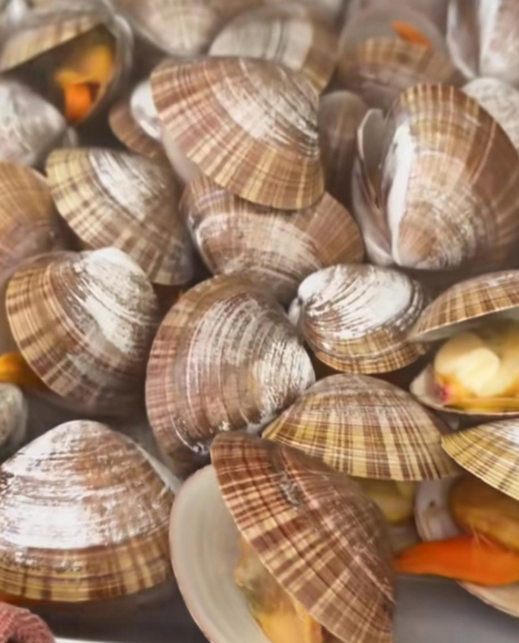 你喜欢吃文贝吗?这个真有嚼劲儿