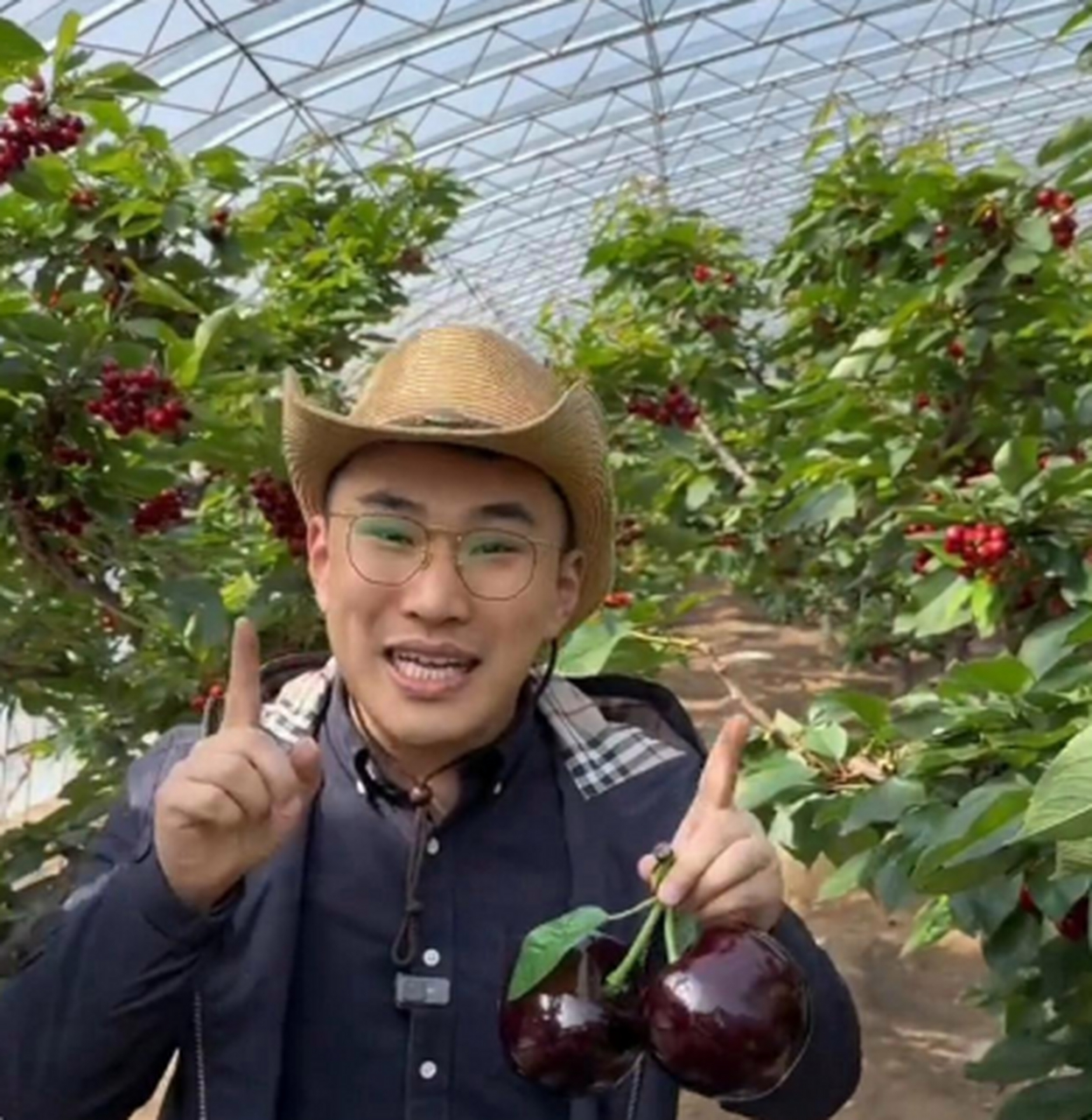 巨大的车厘子,这应该算几个勾呢?