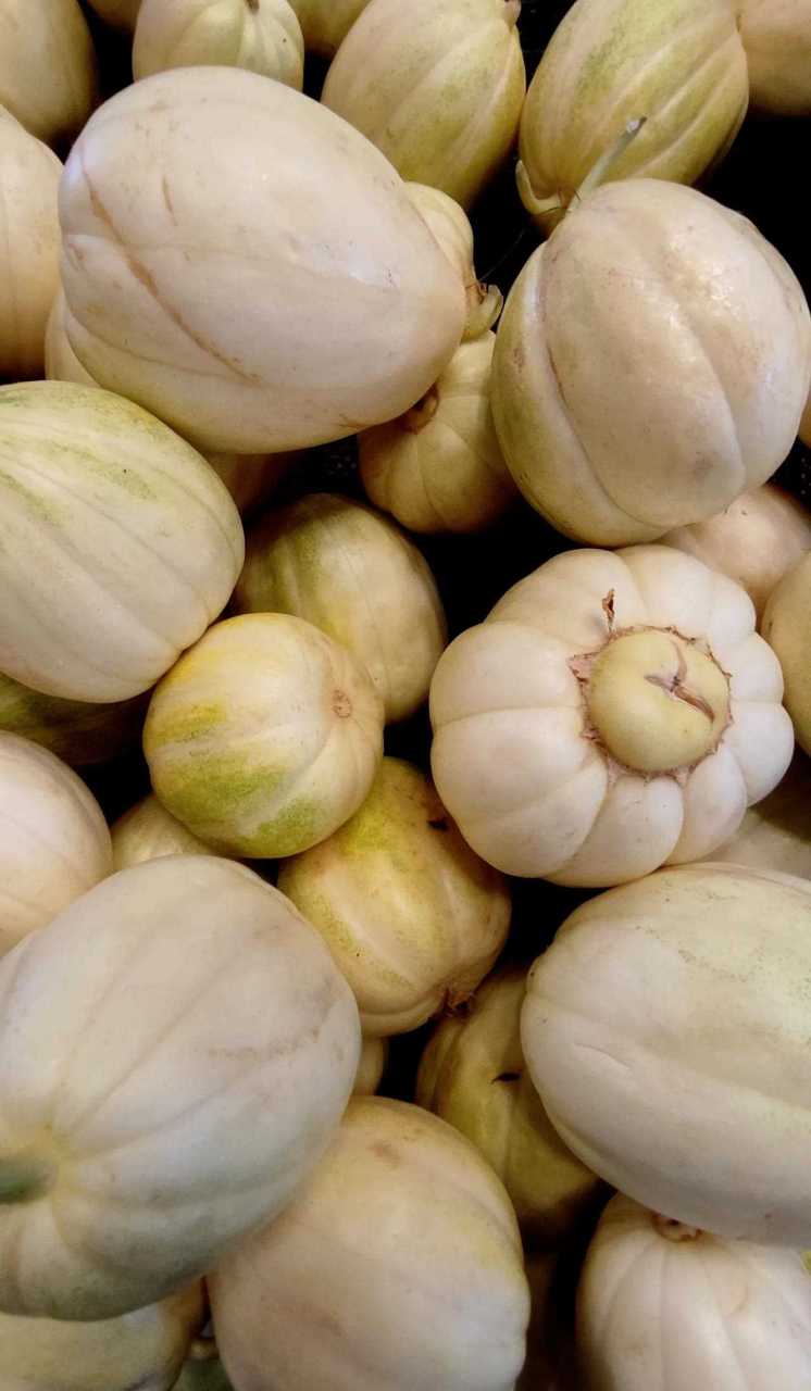 昨日,正好在某商超看到了多种瓜,分别为:博洋,花蕾,绿宝,巴盟香瓜