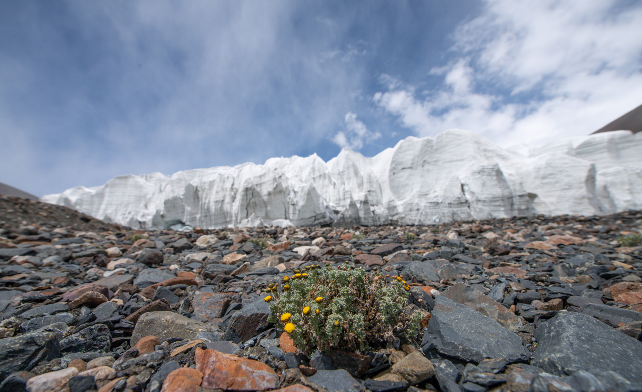 日土县位于西藏自治区西北部,阿里地区西北部,是我区边境县之一,喀喇