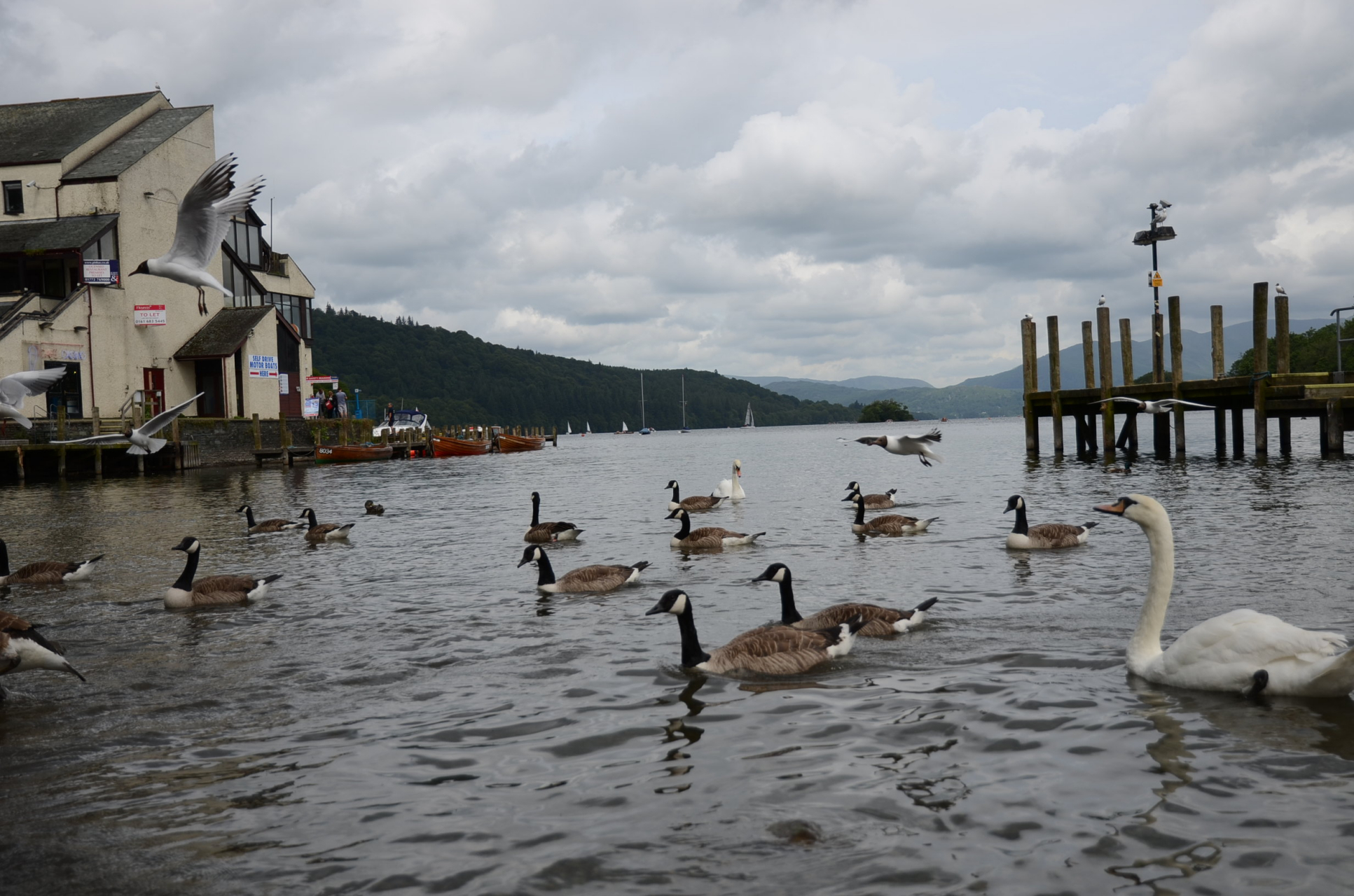 探访华夏邻国# 英国温德米尔湖:它是英格兰最大的湖,形成于上一次冰