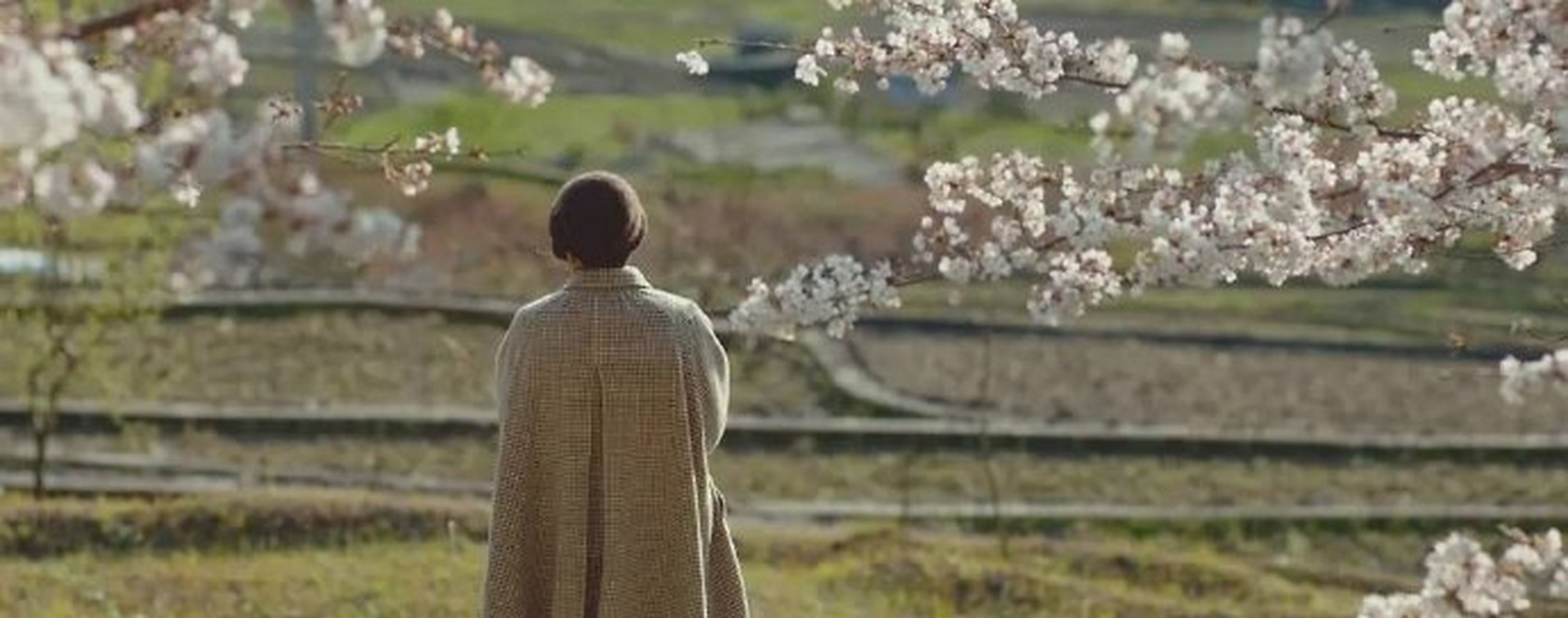 《澄沙之味》  " 它一直都想让你看到 所以它才这么努力发光呢 "