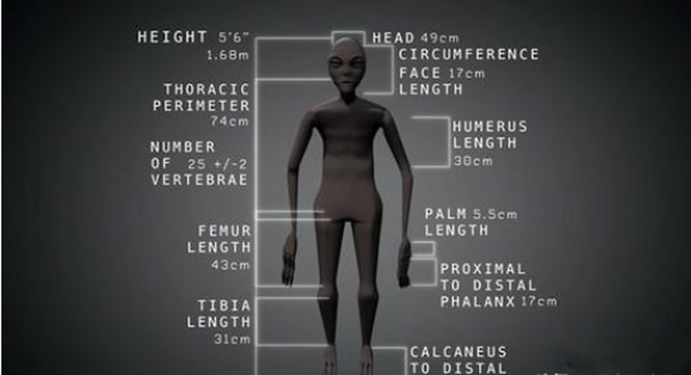 2017年,人们在秘鲁纳斯卡发现了6具奇怪的木乃伊,它们身高不超过60