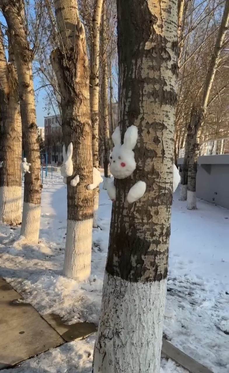 堆雪动物图片大全图片