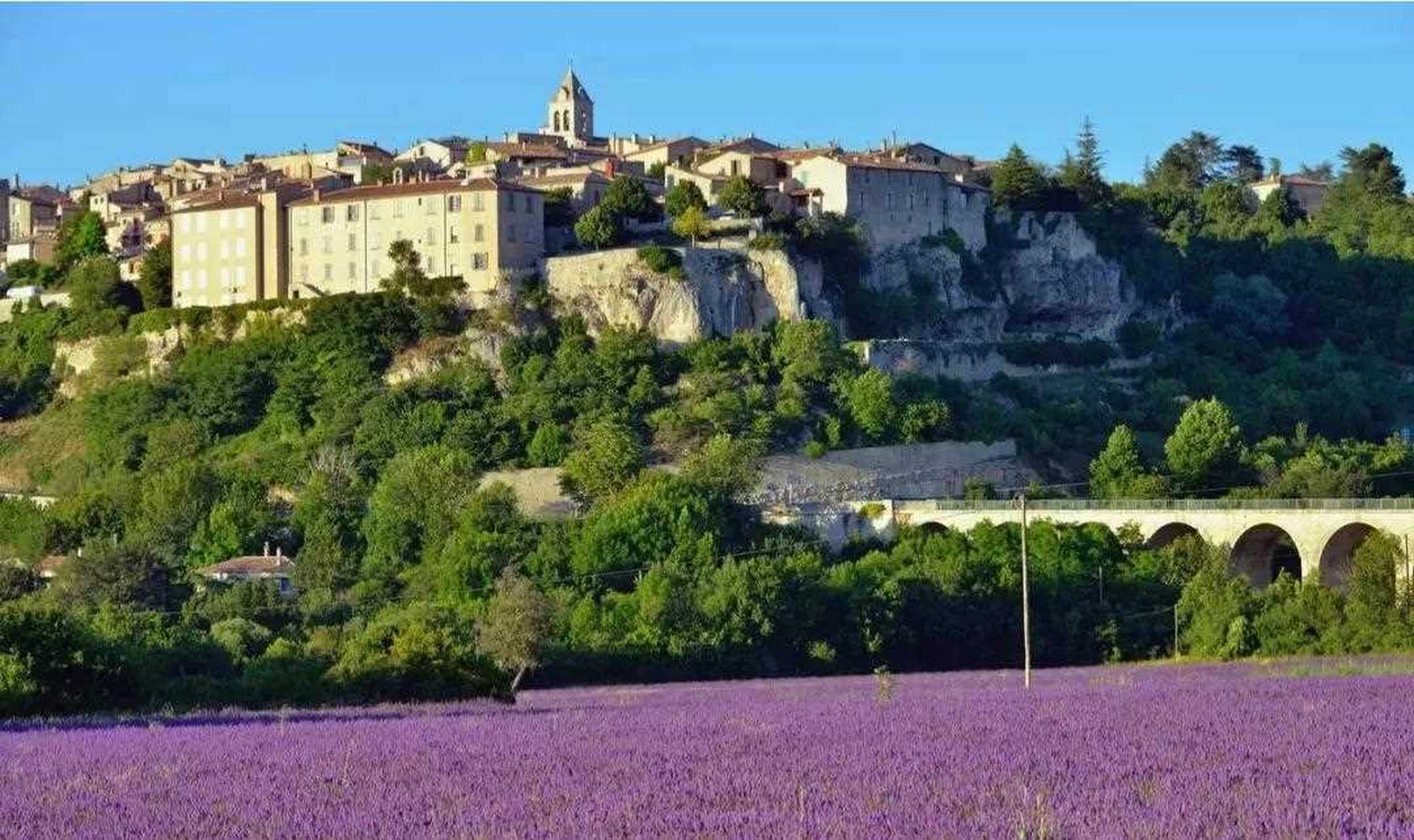 "普罗旺斯的风景明信片里,什么时候会少了它的身影呢?