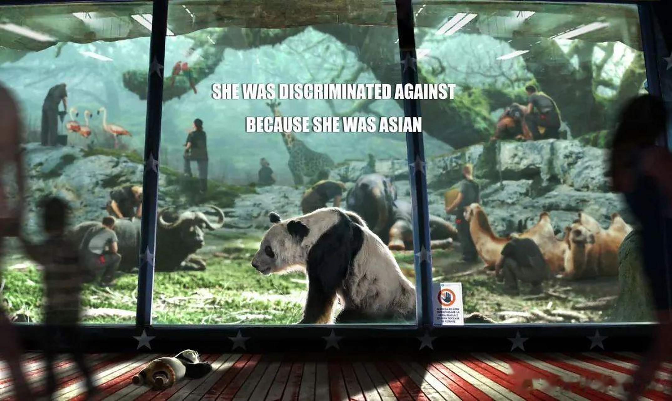 丫丫#熊猫丫丫:旅美二十年,痛失同伴,瘦骨嶙峋没了熊样,让丫丫瓢膊