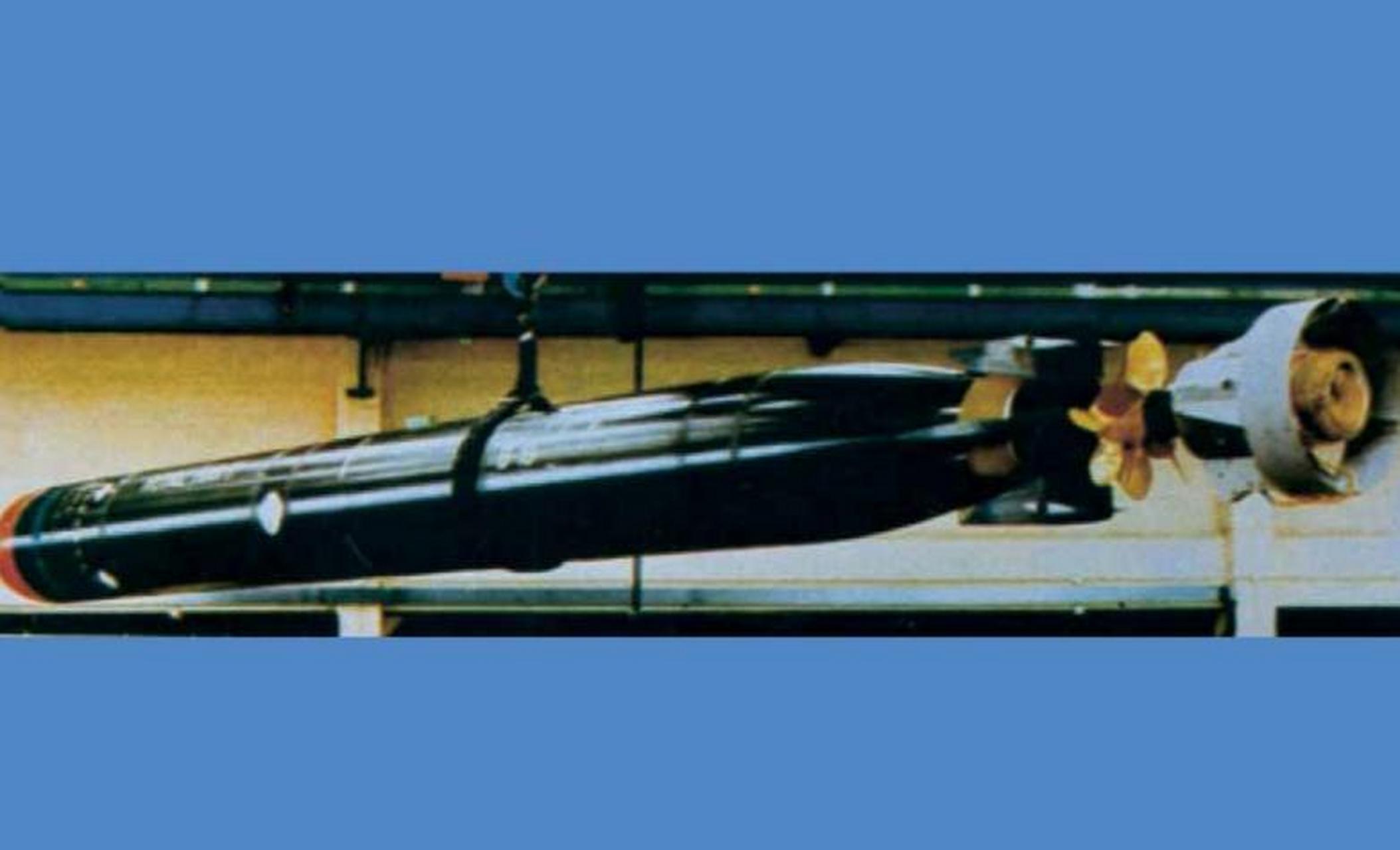 英国mk24虎鱼潜射鱼雷,由潜艇发射的反舰/反潜两用重型鱼雷,雷长6.