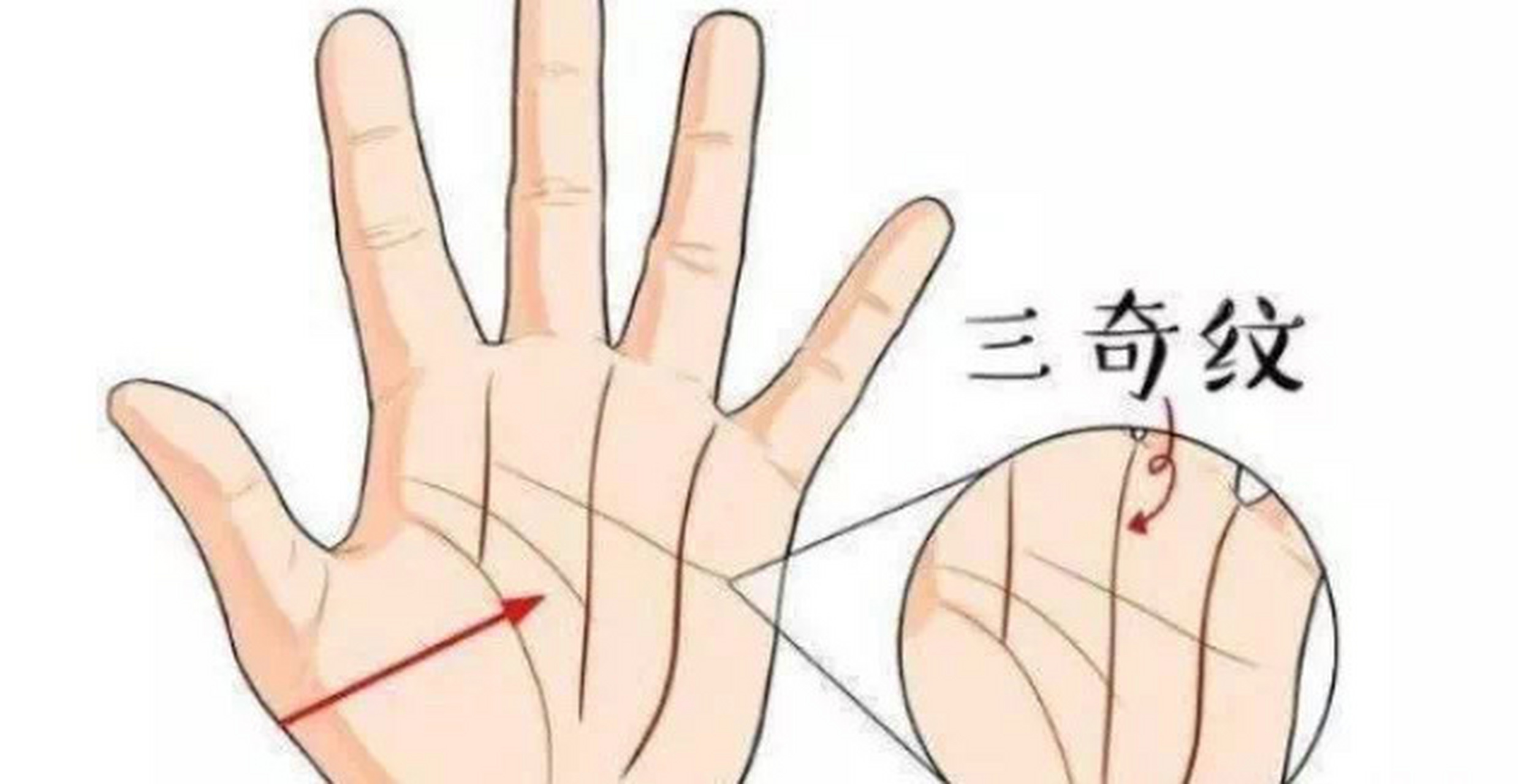 三奇纹:  所谓的三奇纹,是指事业线,太阳线,财运线并驾齐驱,形成的川