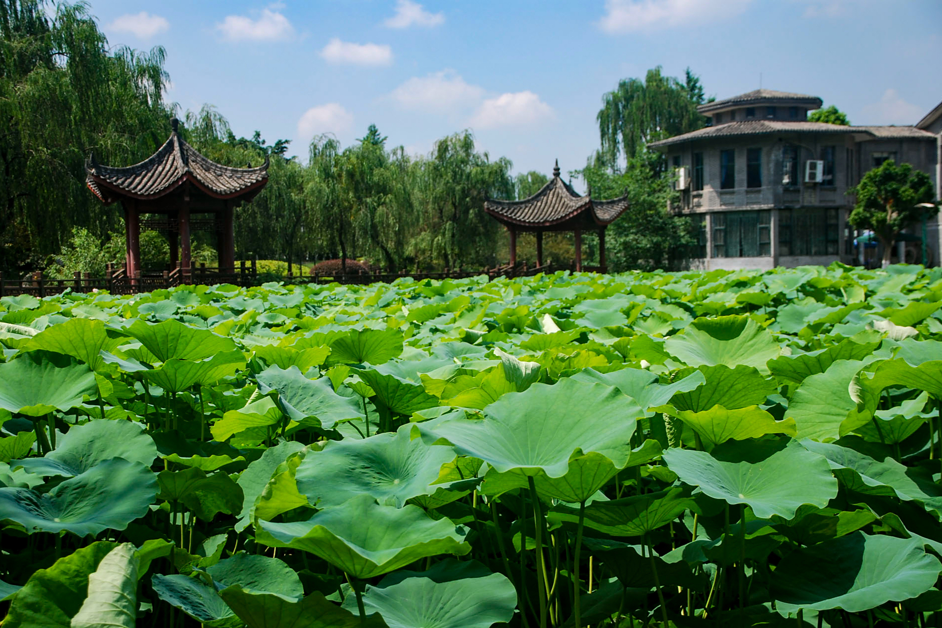 内江大千园旅游景区!