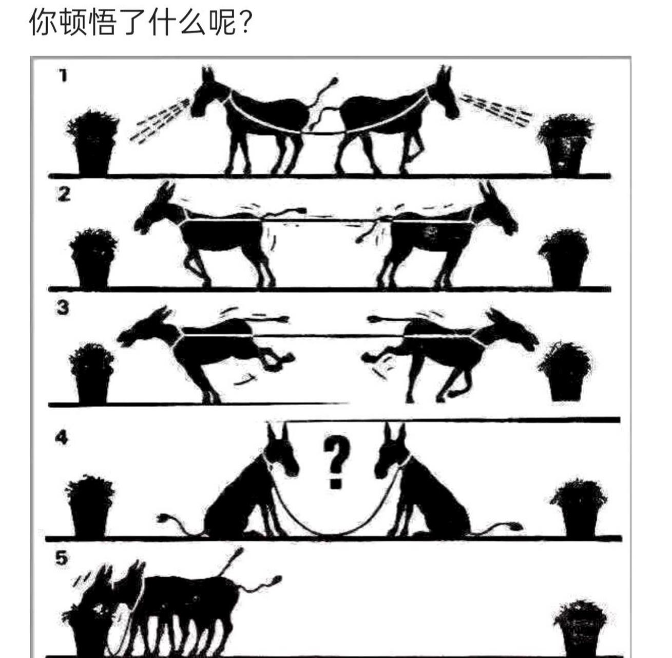 我们领悟到了"一图胜千言"的道理.