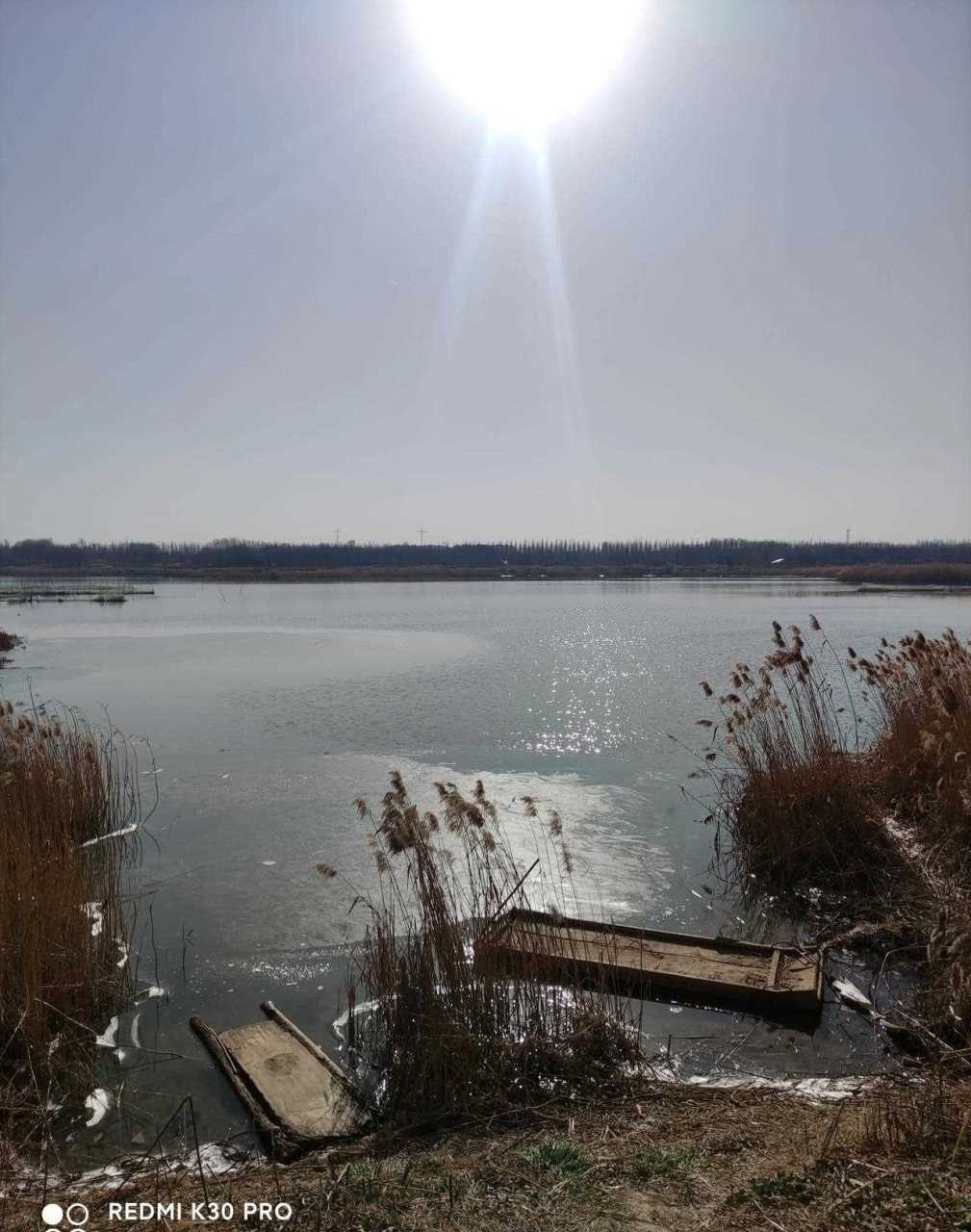 潍坊寿光: 至来临之际,趁着严寒未到,赶紧去弥河湿地公园转一圈!