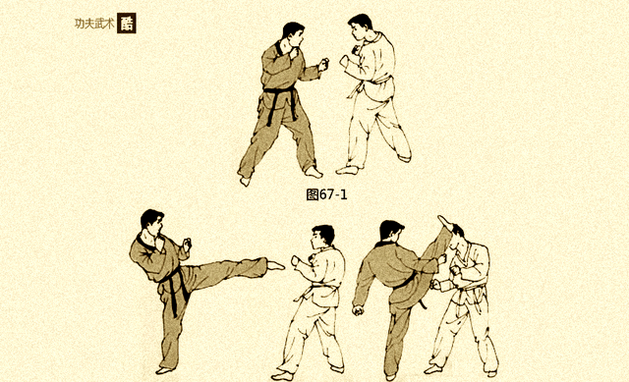 收藏本篇就是收藏70招腿法搏击精华 "功夫武术酷"分享了一套腿法格斗