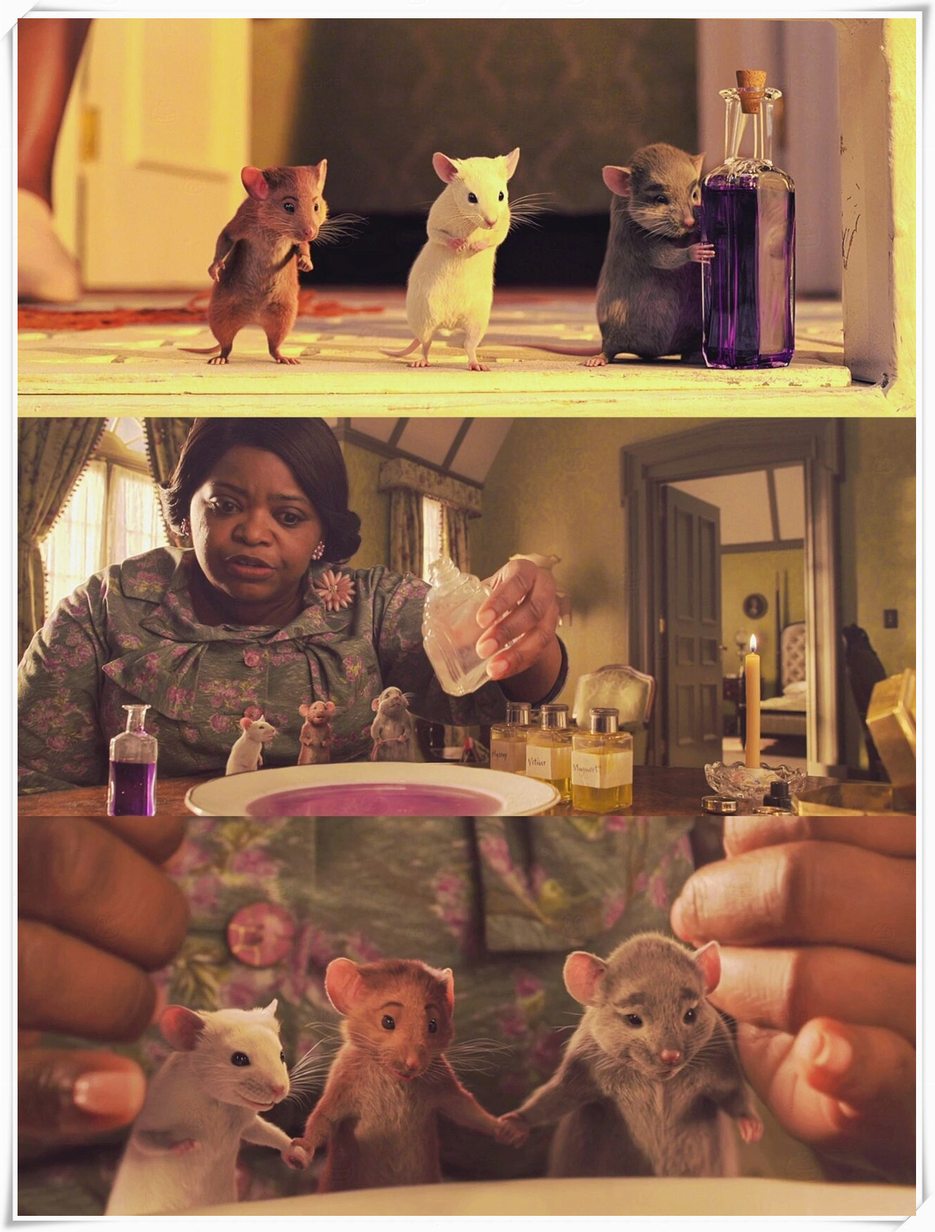 故事讲述女巫安妮·海瑟薇施下魔法将男孩变成老鼠,而男孩们依靠