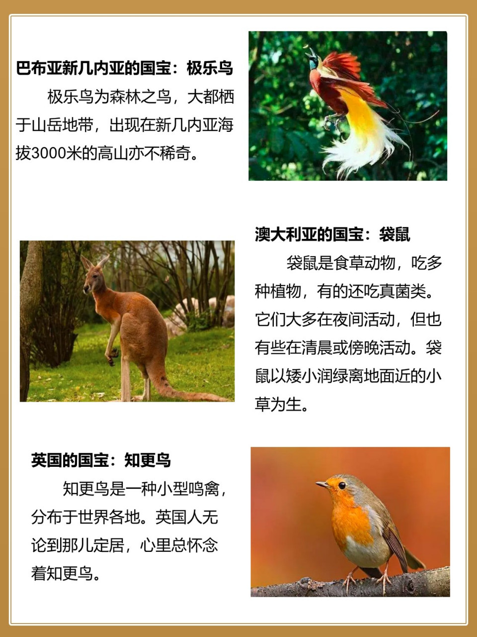 92其实世界上还有很多个国家都有自己的国宝动物, 92他们大部分