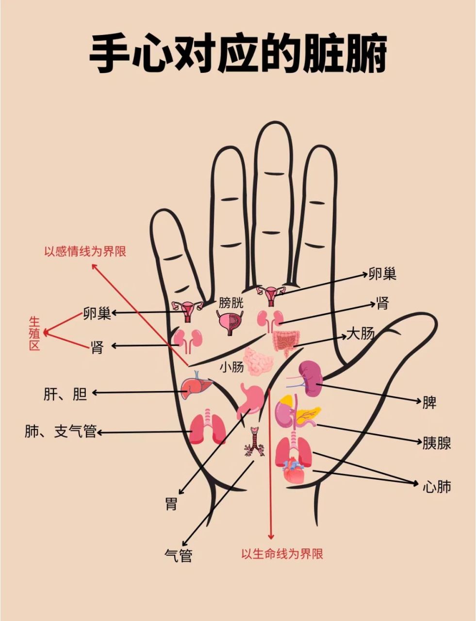 左手右手右手按摩起来