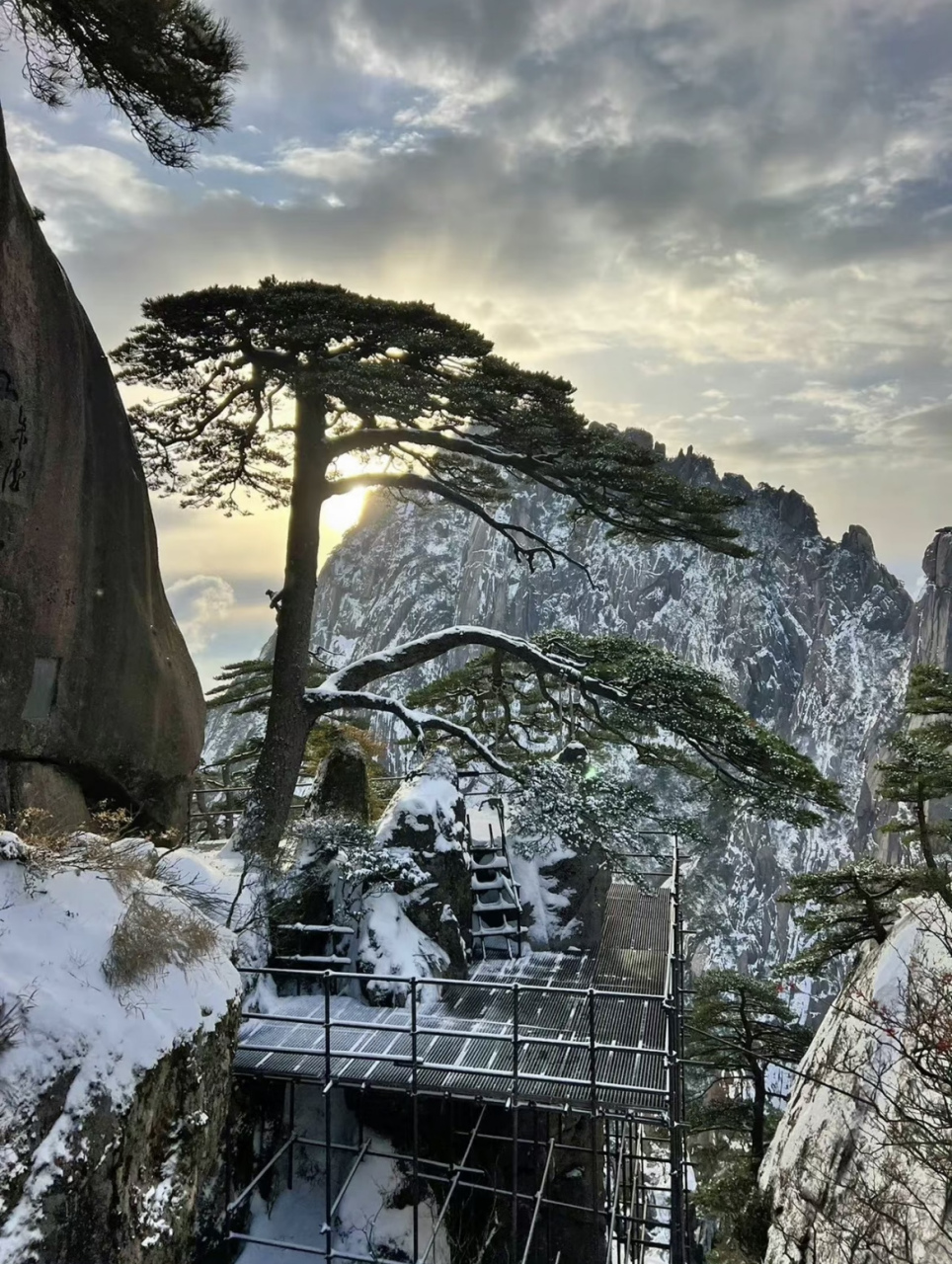 網友:此生必去的安徽黃山,雪景下的迎客松也太美啦!