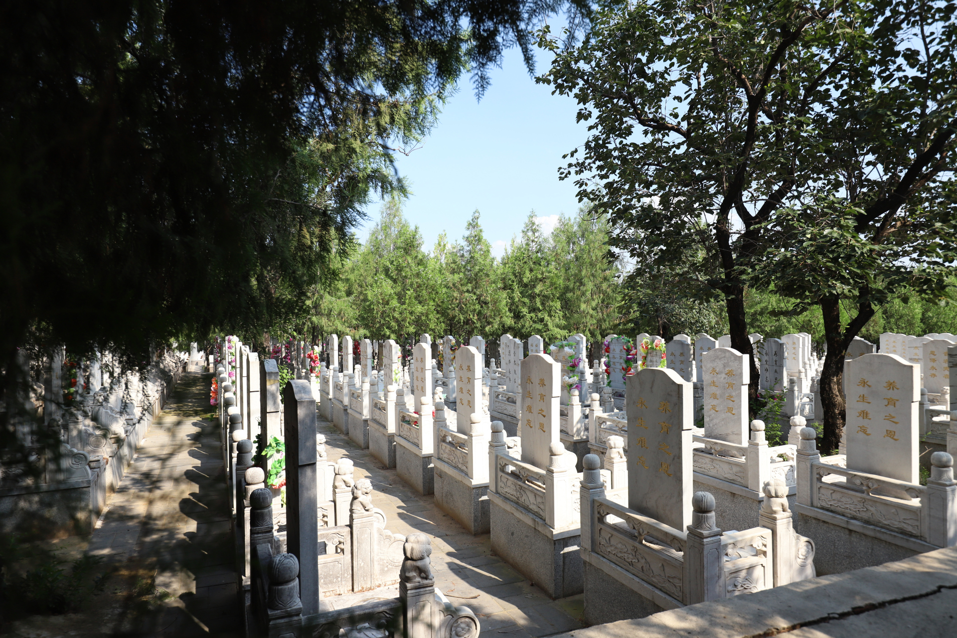 昌平华夏陵园四季皆景,位置优越 在昌平区兴寿镇的华夏陵园,春天的