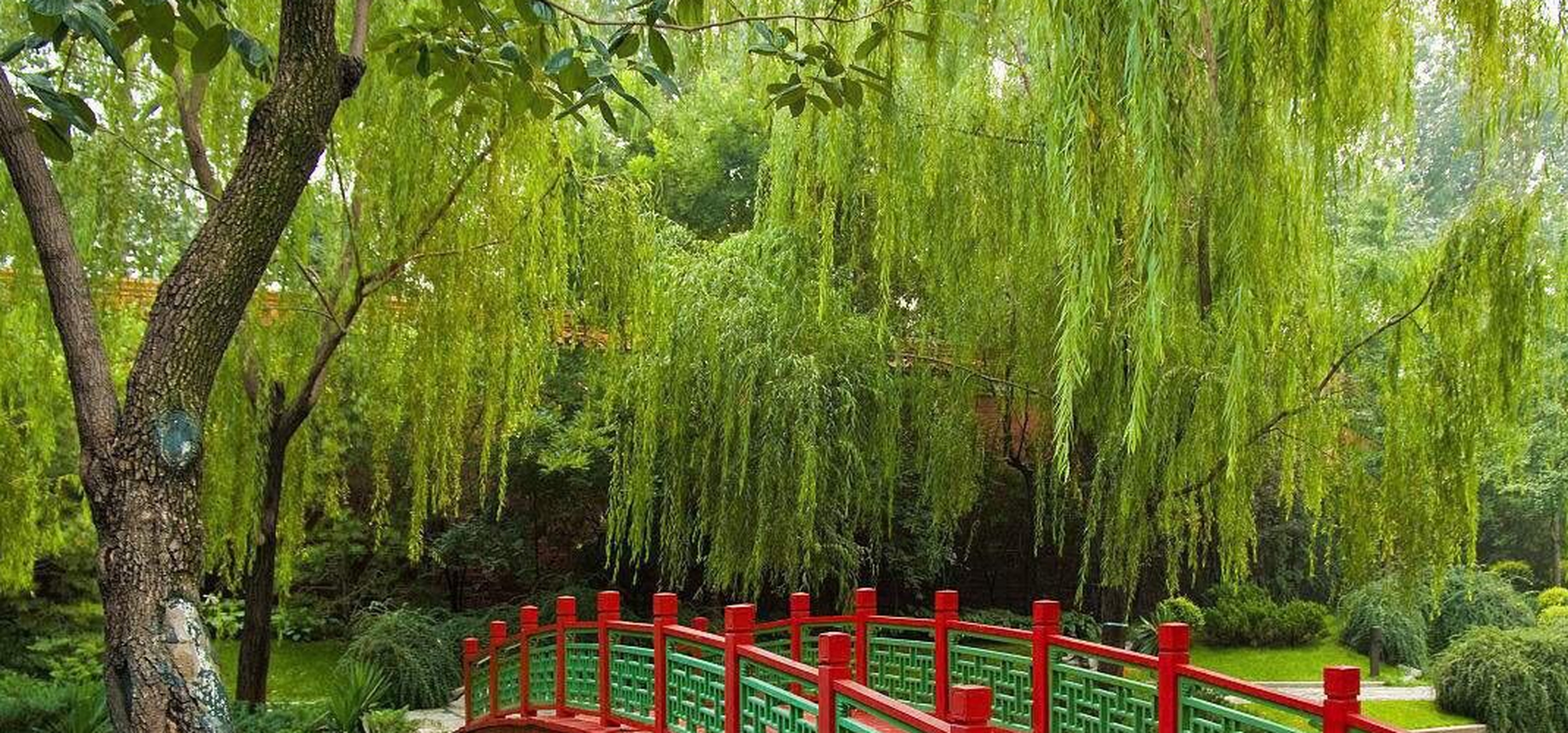 菖蒲河公园,也叫金水河,因其河内生长的一种名叫菖蒲的植物,故而得名