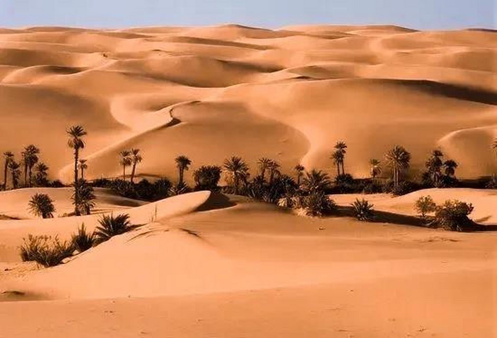 二,利比亚沙漠的地貌和景观 沙丘:沙丘是沙漠中最为典型的地貌之一