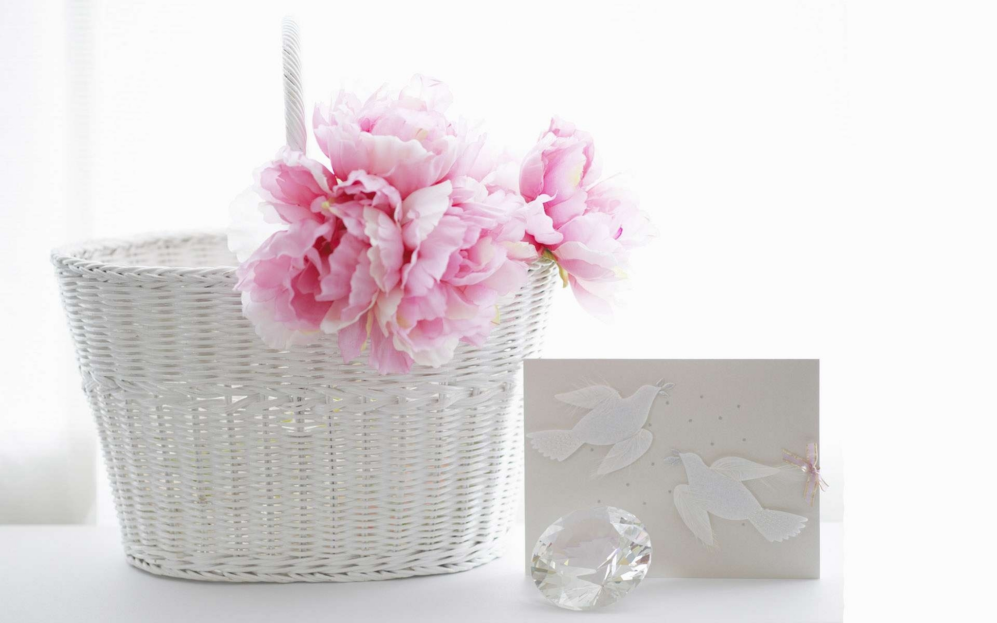 ins风简约花朵背景图壁纸#ins风# #壁纸# #背景##花朵